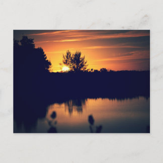 Florida Sunset Postcard