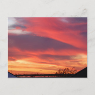 Florida Sunset Postcard