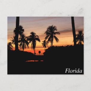 Florida sunset postcard