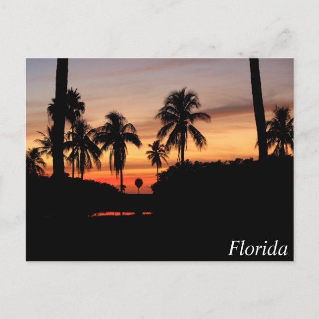 Florida sunset postcard (Front)