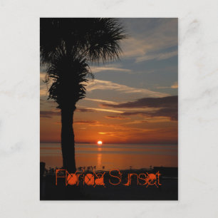 Florida Sunset Postcard