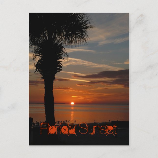 Florida Sunset Postcard (Front)