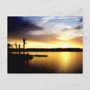 Florida Sunset Postcard