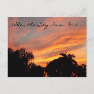 Florida Sunset Postcard / When the Sky Is on Fire