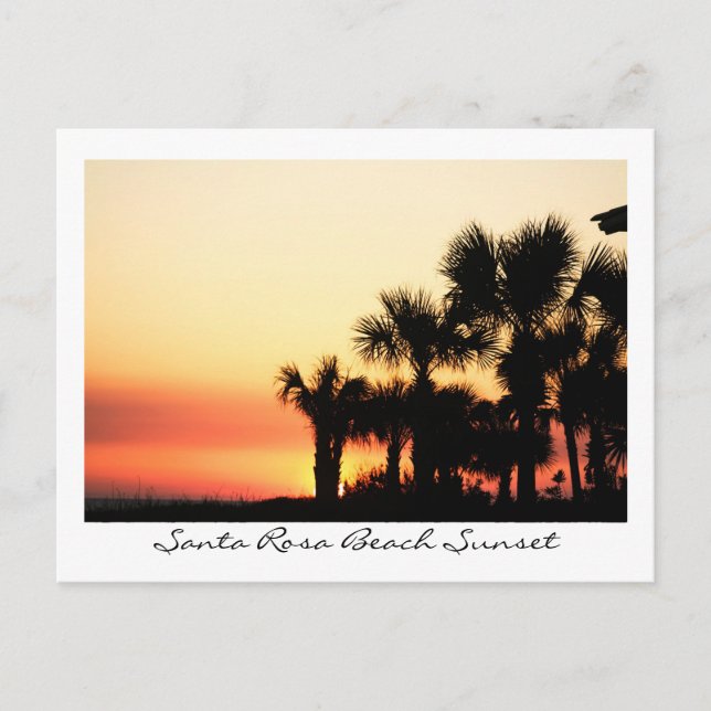 Florida Sunset Santa Rosa Beach Palm Trees Postcard (Front)