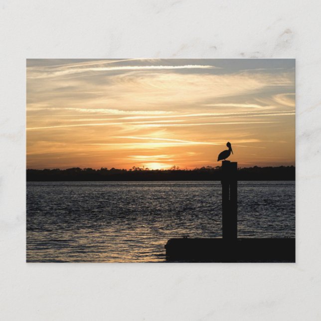 Florida Sunset with Pelican Postcard (Front)