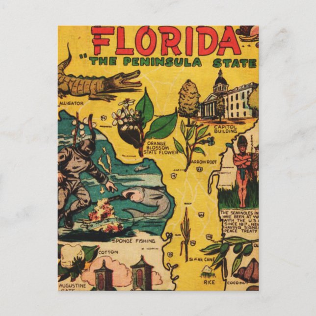 Florida The Peninsula State Postcard (Front)