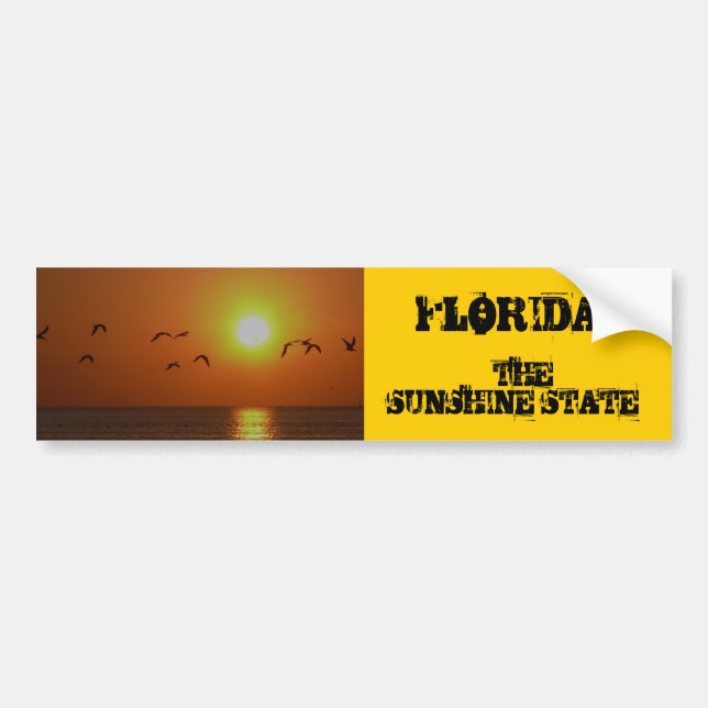 FLORIDA!, The Sunshine State, birds fling over Gul Bumper Sticker (Front)