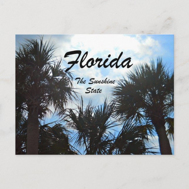 Florida, the Sunshine State Postcard (Front)
