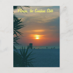 Florida, the Sunshine State Postcard