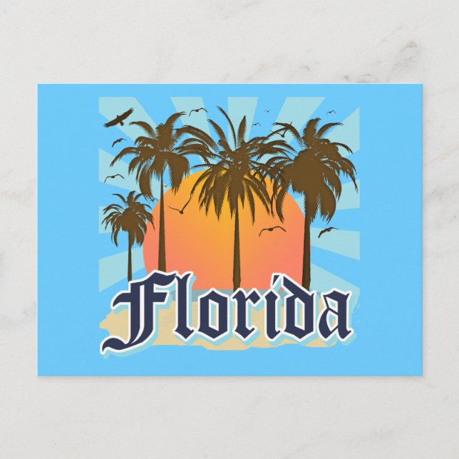 Florida The Sunshine State USA Postcard (Front)