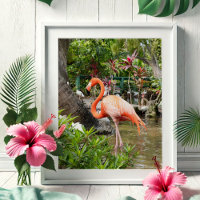 Florida Travel Photo Photography Posters