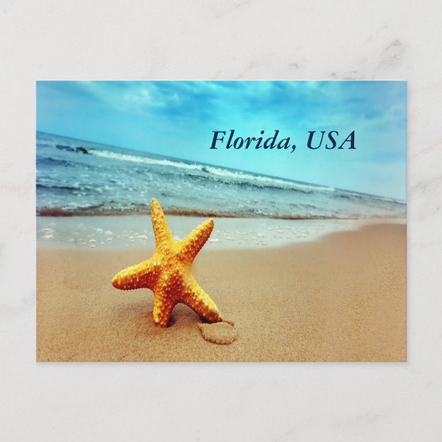 Florida USA Postcard (Front)