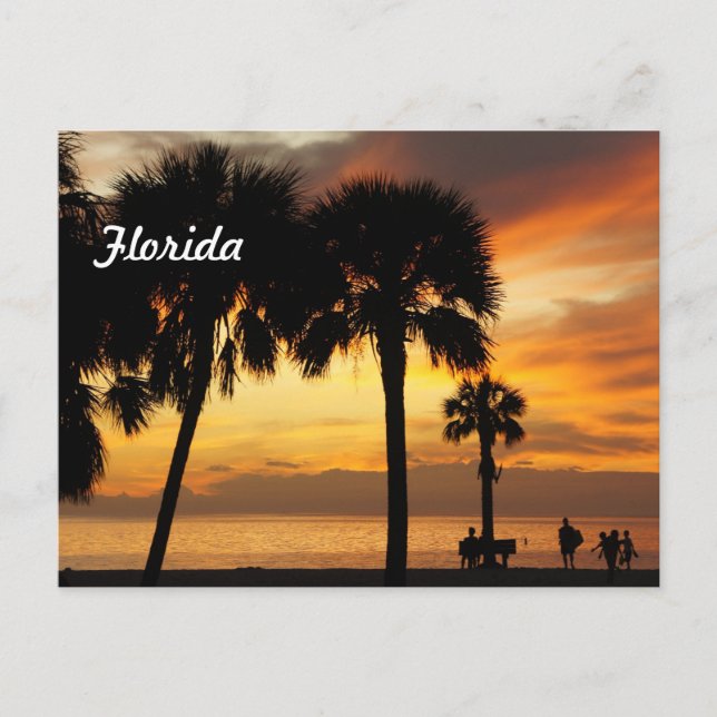 Florida Vacation Postcard (Front)