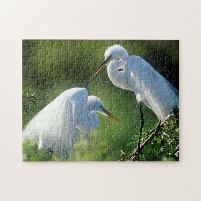Florida, Venice, Audubon Sanctuary, Common Egret Jigsaw Puzzle (Horizontal)