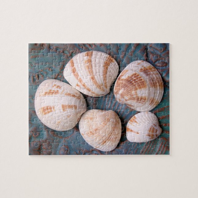 Florida Venus Clam Shells Jigsaw Puzzle (Horizontal)