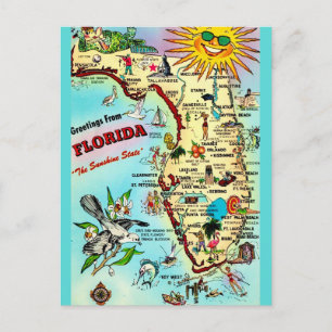 Florida Vintage Bordered  Postcard