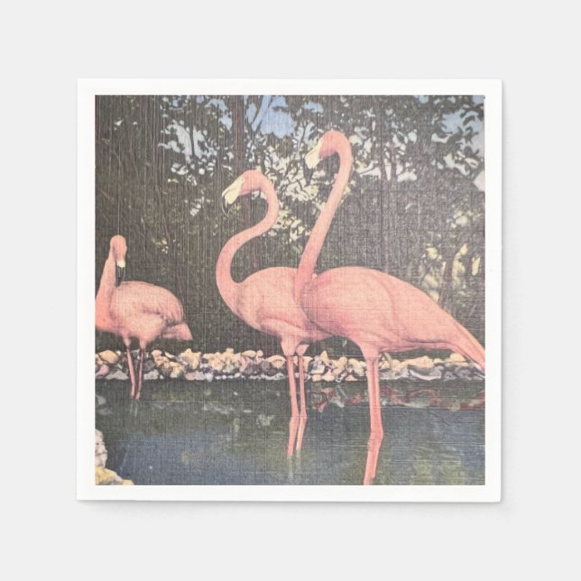 Florida Vintage Flamingoes Napkin (Front)