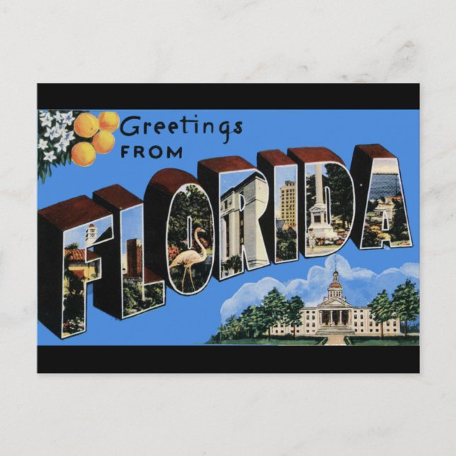 Florida Vintage Travel Postcard (Front)