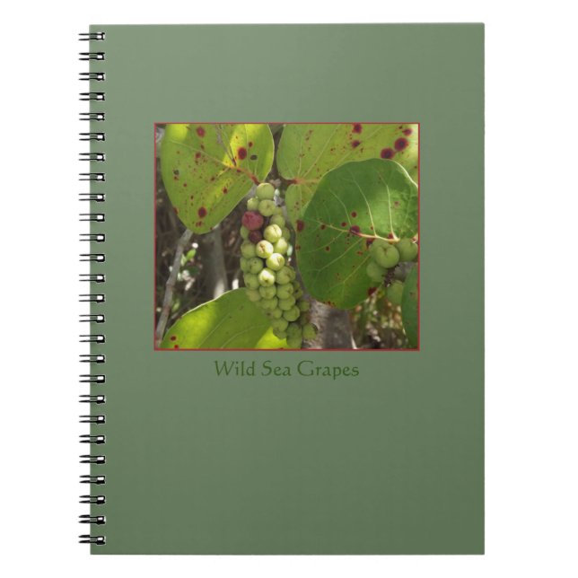 Florida Wild Sea Grapes Notebook (Front)