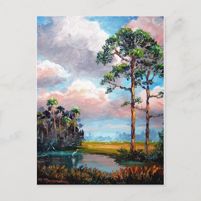 Florida Wilderness Postcard (Front)