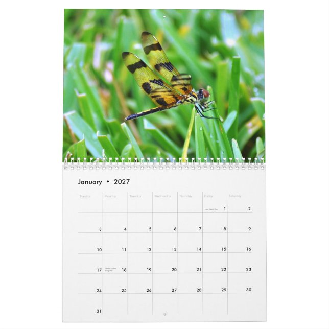 Florida Wildlife Calendar (Jan 2027)