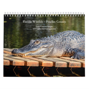 Florida Wildlife in Pinellas County 2026 Calendar