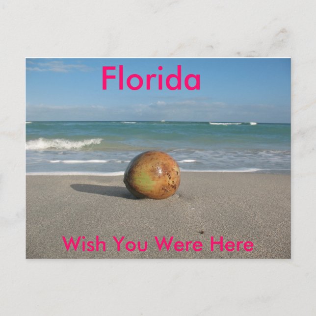 FLORIDA, Wish You Were Here, Postcard (Front)