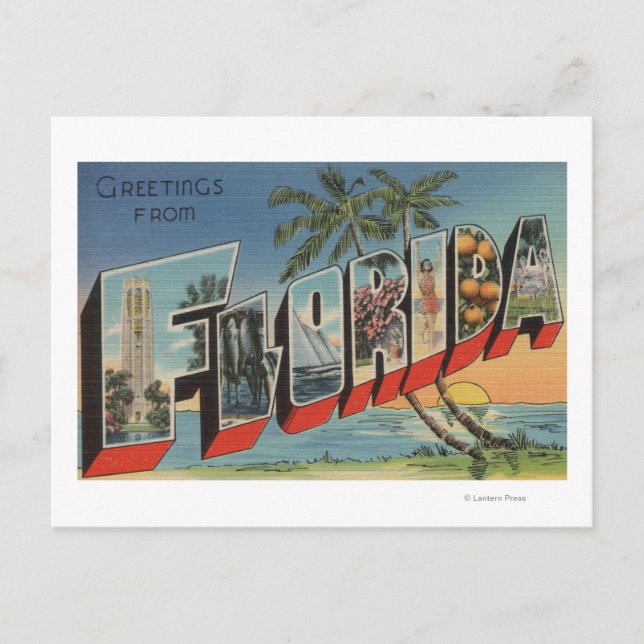 FloridaLarge Letter ScenesFlorida Postcard (Front)