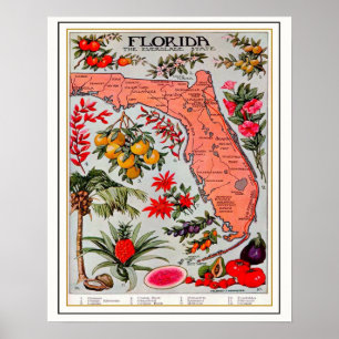 Florida's Bounty 16x20 Map Poster