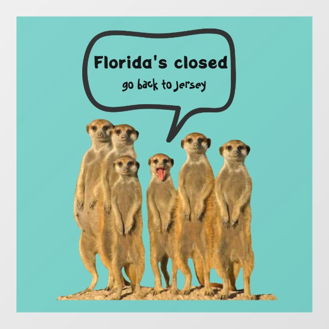 FLORIDA'S CLOSED FUNNY DECAL (Sheet)
