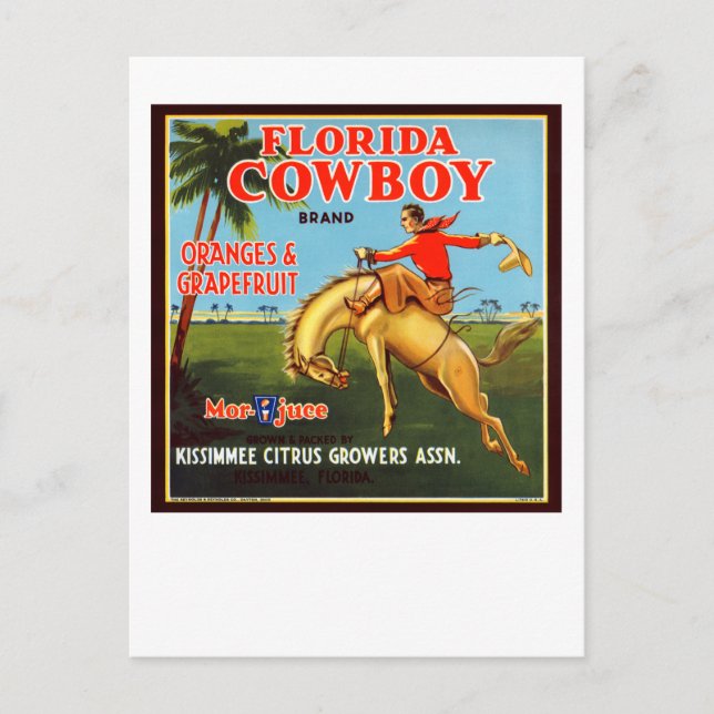 Floriday Cowboy Postcard (Front)