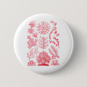 Florideae 6 Cm Round Badge