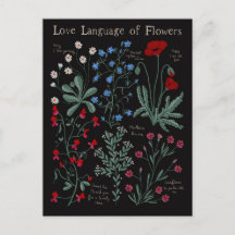 Floriograpy Love language of flowers botanical