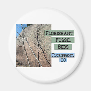 Florissant Fossil Beds Magnet