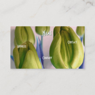 Florist - Light Green Beige Tulips Business Card