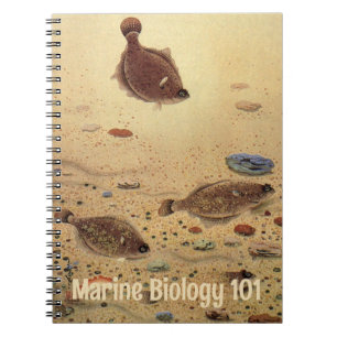 Flounders or Flat Fish, Vintage Marine Ocean Life  Notebook