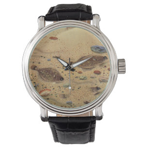 Flounders or Flat Fish, Vintage Marine Ocean Life Watch