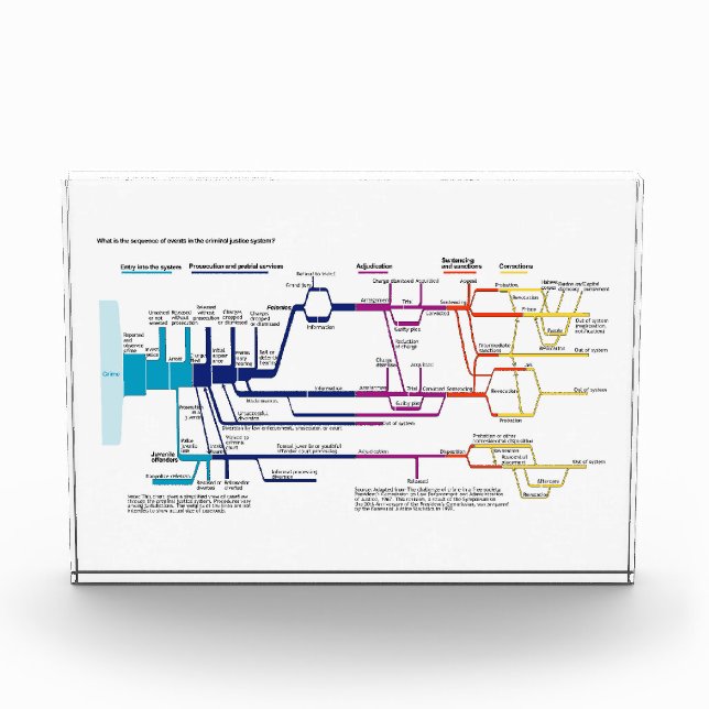 Flow Chart USA American Criminal Justice System Photo Block (Front)