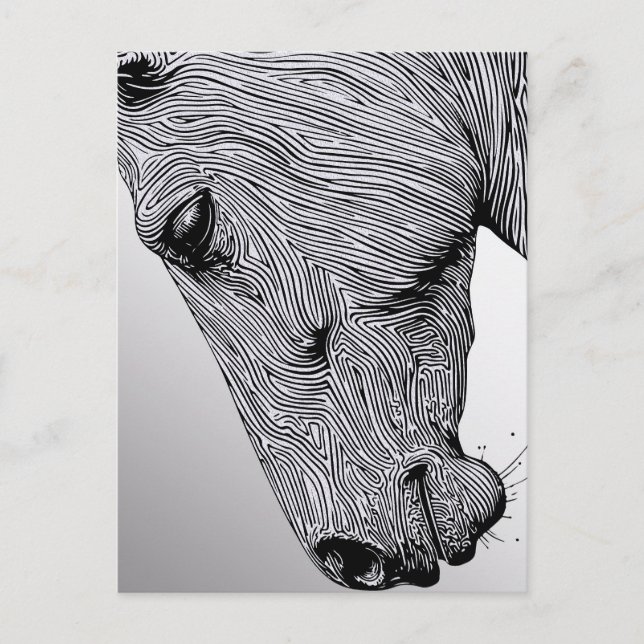 Flow of the Wild Minimalist Line Art Horse Postcard (Front)