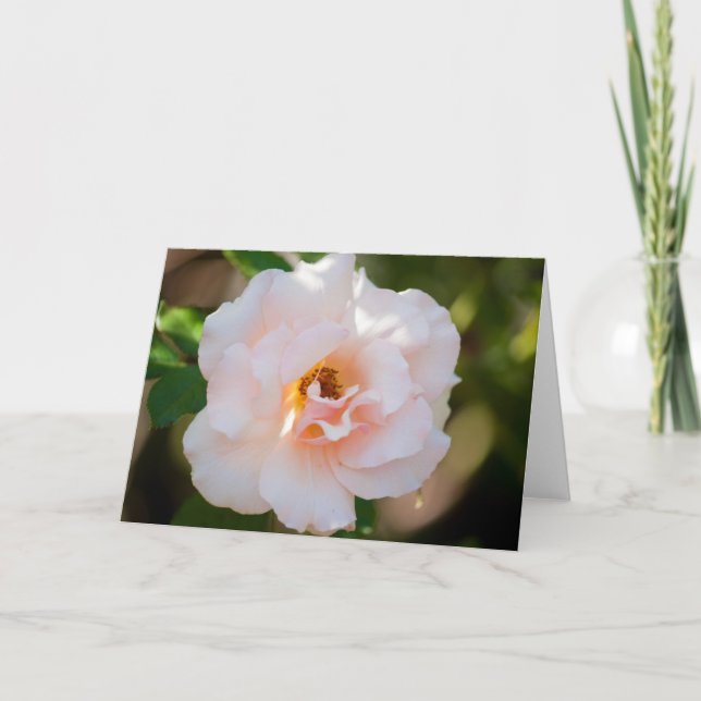 Flower #0724 card (Front)