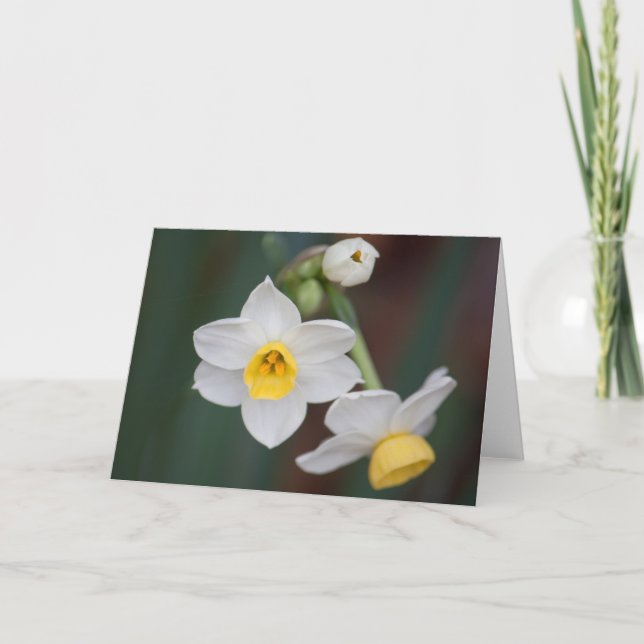 Flower #1579 card (Front)