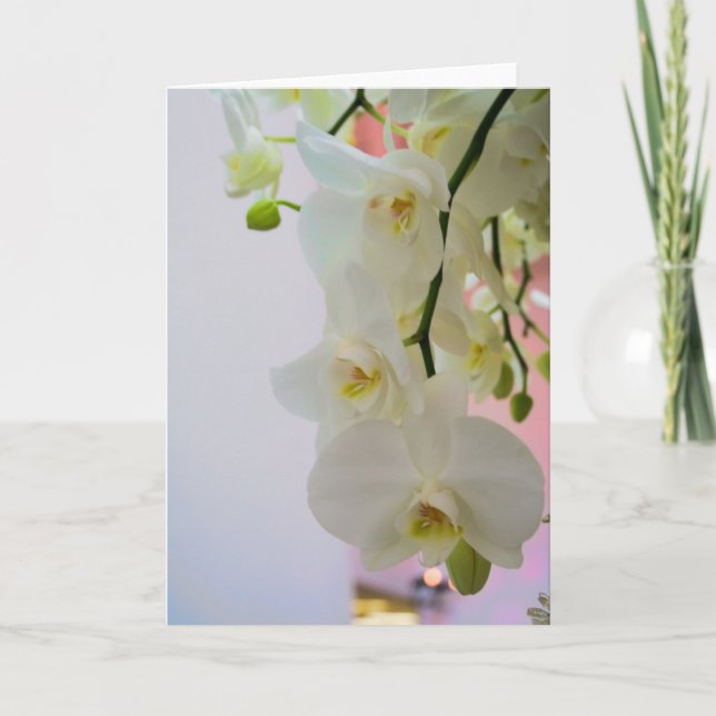 Flower #4124 card (Front)