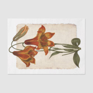 Flower 43 Tiger Lily Decoupage Tissue Paper