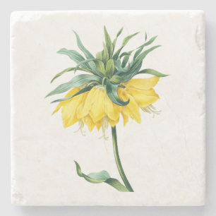 Flower: A002 Kaiser's Crown - Stone Coaster