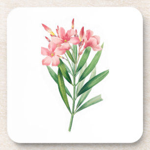 Flower: A005 Oleander - Coaster