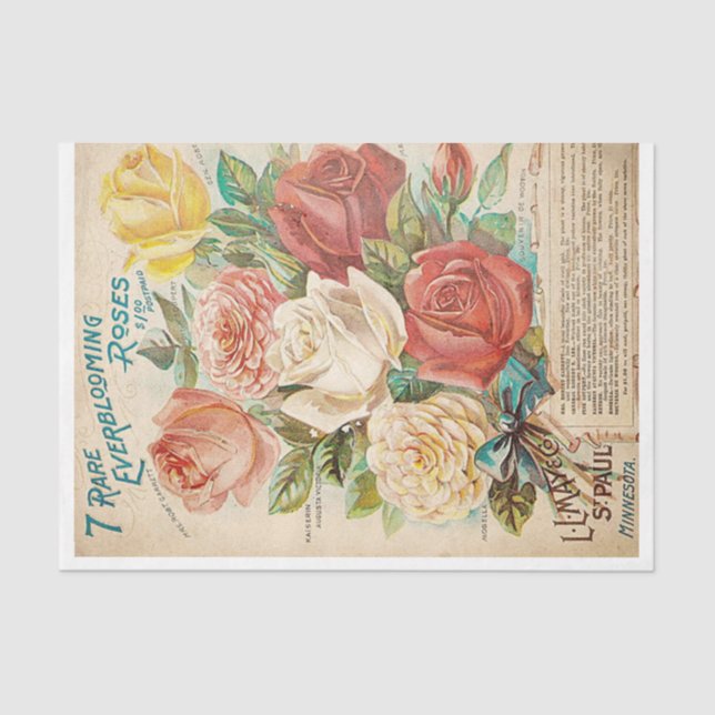 flower ad tissue paper (Front)