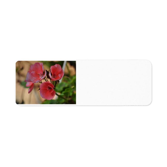 Flower address Labels (Front)
