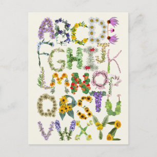 Flower Alphabet Kids Back to School Teacher Postcard