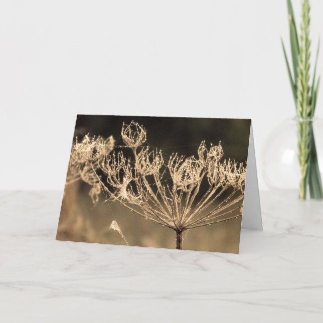 Flower and spiders web in sepia card (Front)